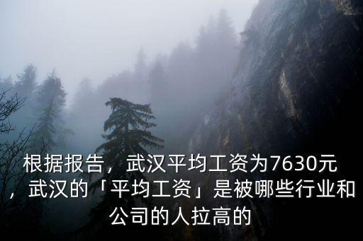 根據(jù)報告，武漢平均工資為7630元，武漢的「平均工資」是被哪些行業(yè)和公司的人拉高的