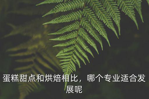 瀘州甜點烘焙哪里專業,蛋糕甜點和烘焙相比