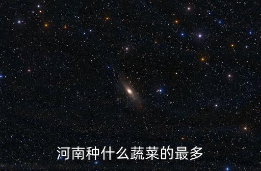 河南的包菜多少錢,你們都花了多少錢