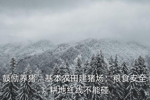 鼓勵(lì)養(yǎng)豬，基本農(nóng)田建豬場(chǎng)；糧食安全，耕地紅線不能碰