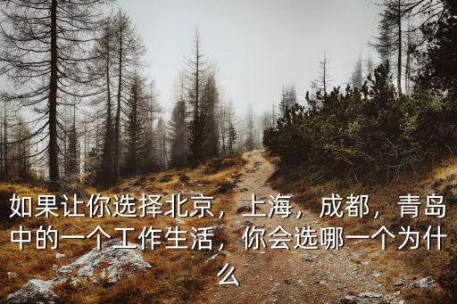 如果讓你選擇北京，上海，成都，青島中的一個工作生活，你會選哪一個為什么