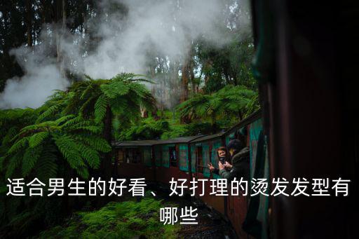 瀘州男士燙發哪里好,熱燙好還是冷燙好