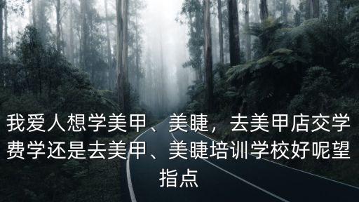 我愛人想學美甲、美睫，去美甲店交學費學還是去美甲、美睫培訓學校好呢望指點