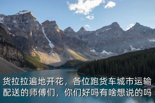 貨拉拉遍地開花，各位跑貨車城市運輸配送的師傅們，你們好嗎有啥想說的嗎