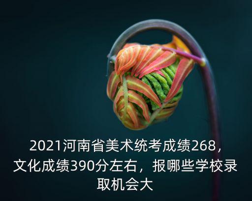 2021河南省美術(shù)統(tǒng)考成績(jī)268，文化成績(jī)390分左右，報(bào)哪些學(xué)校錄取機(jī)會(huì)大