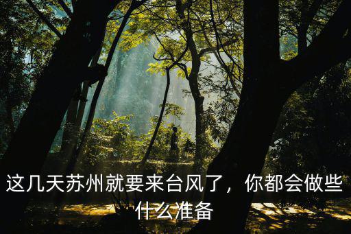 蘇州最大臺風多少級,這幾天蘇州就要來臺風了