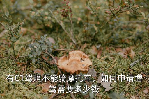 徐州辦摩托車d證多少錢,考三輪摩托車證要多少錢