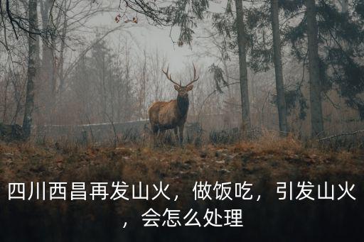 四川西昌再發(fā)山火，做飯吃，引發(fā)山火，會(huì)怎么處理