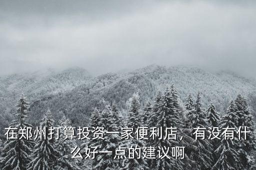 在鄭州打算投資一家便利店，有沒有什么好一點的建議啊
