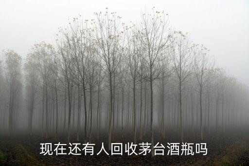 現(xiàn)在還有人回收茅臺酒瓶嗎