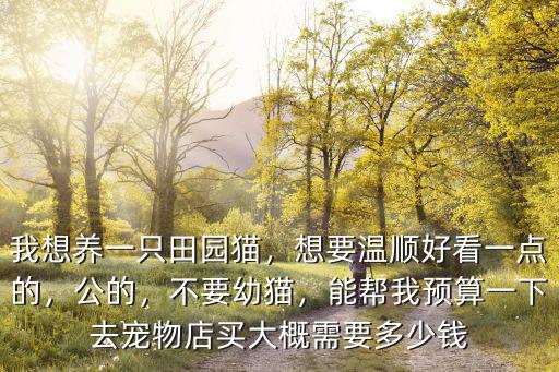鹽城寵物店貓一般多少錢一只,我想養一只田園貓