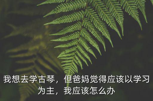 我想去學古琴，但爸媽覺得應該以學習為主，我應該怎么辦