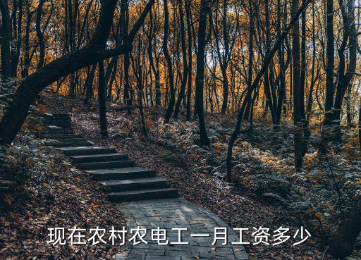 江蘇農(nóng)村年收入多少,現(xiàn)在農(nóng)村農(nóng)電工一月工資多少
