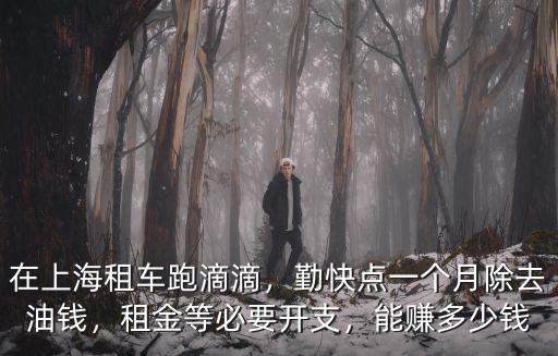 在上海租車跑滴滴，勤快點一個月除去油錢，租金等必要開支，能賺多少錢