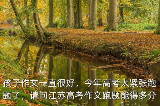 江蘇作文跑題多少分,小學語文跑題作文給多少分