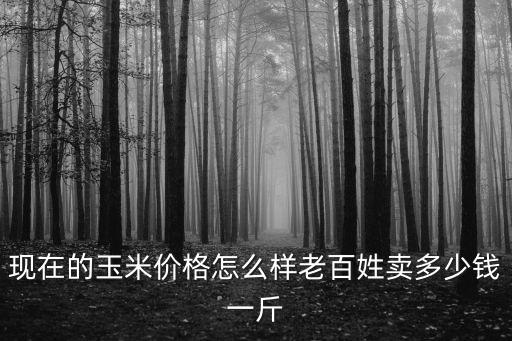 江蘇泗洪現在玉米多少錢一斤,玉米今年秋后多少錢一斤