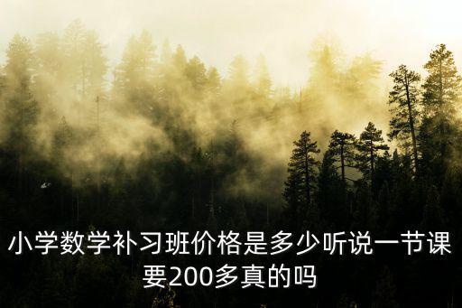 小學(xué)數(shù)學(xué)補習(xí)班價格是多少聽說一節(jié)課要200多真的嗎