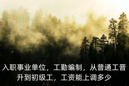 入職事業(yè)單位，工勤編制，從普通工晉升到初級工，工資能上調多少