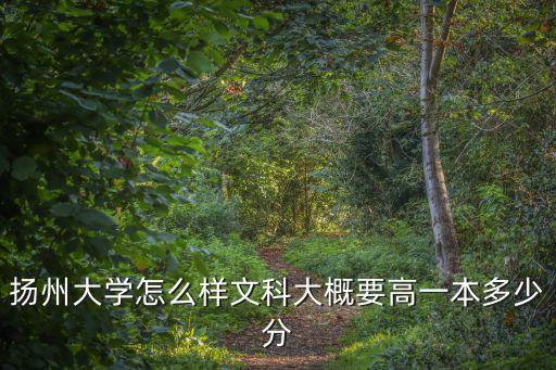 揚州大學編導生需要多少分,揚州大學怎么樣