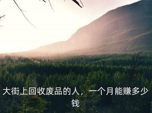 大街上回收廢品的人，一個月能賺多少錢