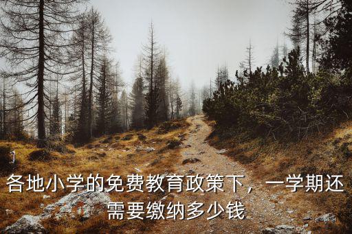 南通上初中第一學期要交多少錢,兒子下半年上初中要買學期
