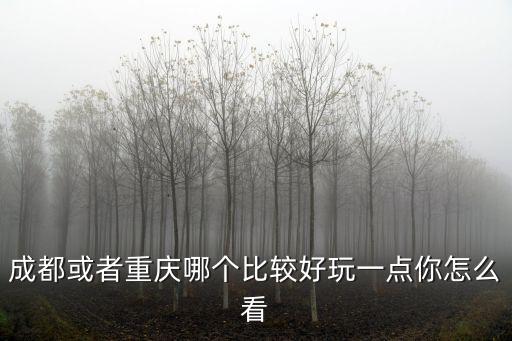 成都或者重慶哪個比較好玩一點(diǎn)你怎么看