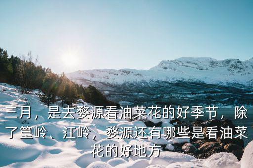三月，是去婺源看油菜花的好季節，除了篁嶺、江嶺，婺源還有哪些是看油菜花的好地方