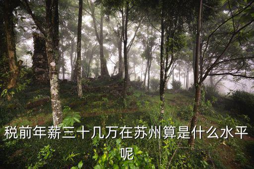 蘇州園區稅前一萬到手多少,蘇州月到手一萬多的人多嗎