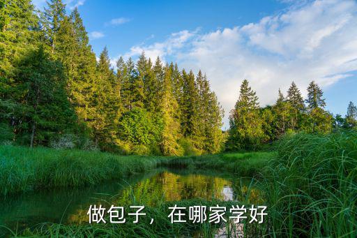 做包子，在哪家學好
