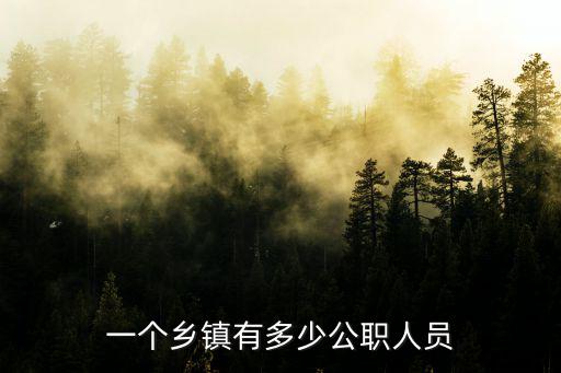 一個鄉(xiāng)鎮(zhèn)有多少公職人員