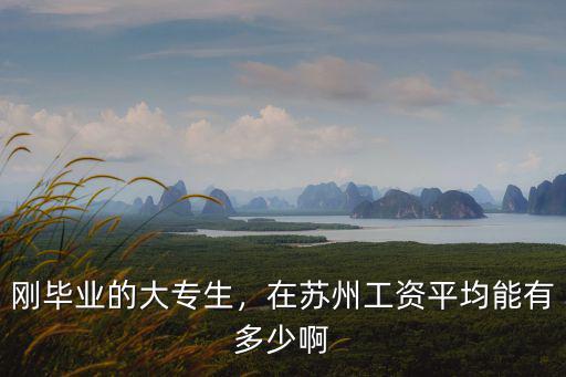 蘇州大專藥劑工資一般多少,在蘇州工資平均能有多少啊
