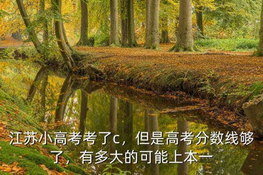 江蘇小高考共有多少人考4a,江蘇小高考考了c