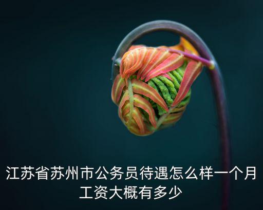 江蘇省蘇州市公務員待遇怎么樣一個月工資大概有多少