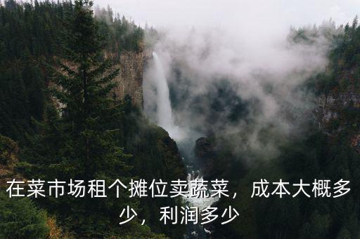 鹽城蔬菜批發(fā)市場攤位費多少,在菜市場租個攤位賣蔬菜