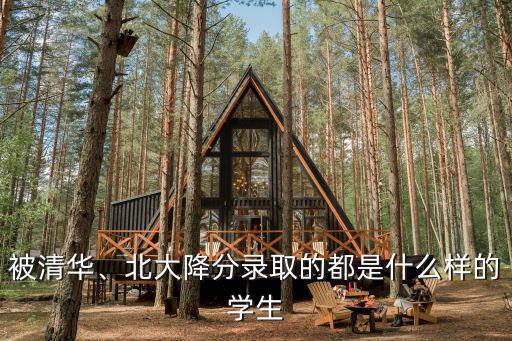 被清華、北大降分錄取的都是什么樣的學生