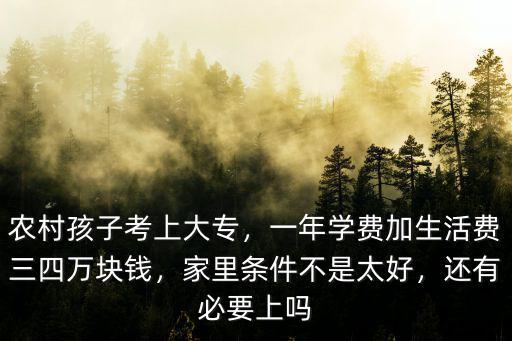 農村孩子考上大專，一年學費加生活費三四萬塊錢，家里條件不是太好，還有必要上嗎