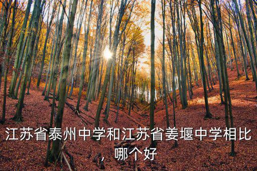 江蘇省泰州中學和江蘇省姜堰中學相比，哪個好
