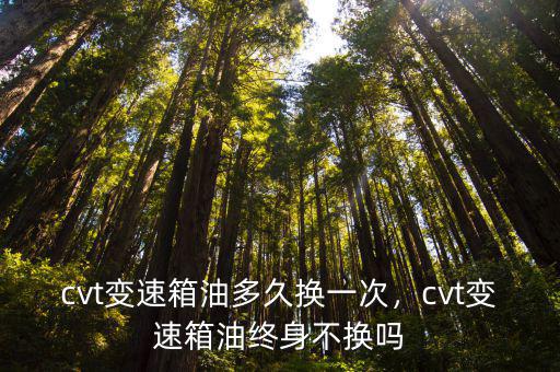 南京邦奇cvt變速箱油加多少,cvt變速箱油多久換一次