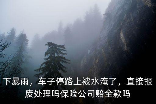鄭州水災綠本被淹了車報廢了怎么辦,車子被水淹了只能報廢嗎