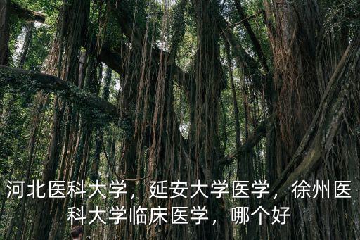 河北醫科大學，延安大學醫學，徐州醫科大學臨床醫學，哪個好