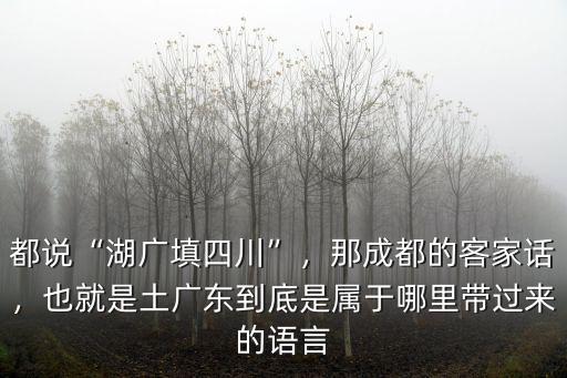 都說“湖廣填四川”，那成都的客家話，也就是土廣東到底是屬于哪里帶過來的語言