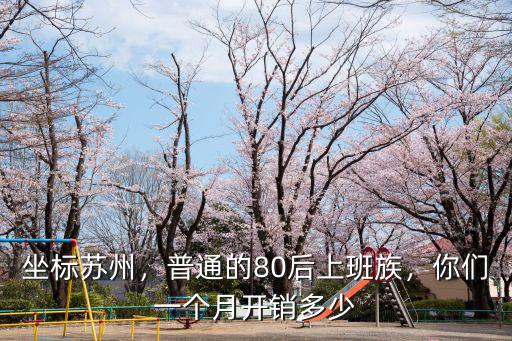 蘇州上班族正常一個月消費多少,你們一個月開銷多少