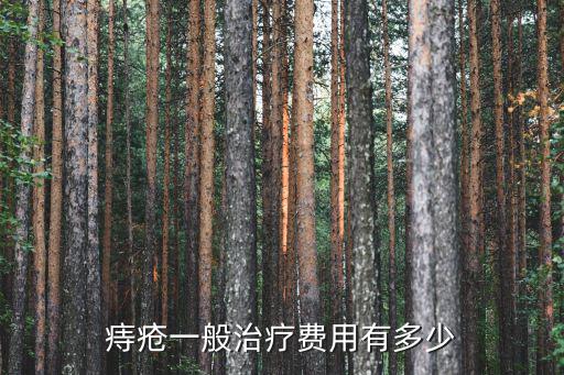 痔瘡一般治療費(fèi)用有多少