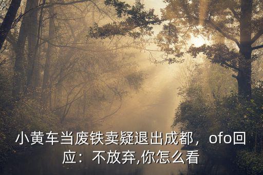 小黃車當廢鐵賣疑退出成都，ofo回應：不放棄,你怎么看