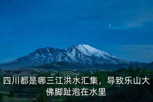 四川都是哪三江洪水匯集，導致樂山大佛腳趾泡在水里