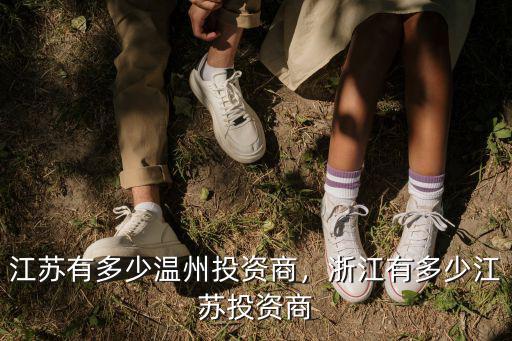 江蘇世園會投資了多少錢,江蘇有多少溫州投資商
