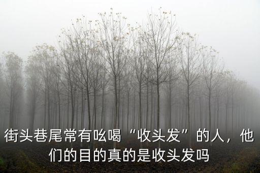 街頭巷尾常有吆喝“收頭發”的人，他們的目的真的是收頭發嗎