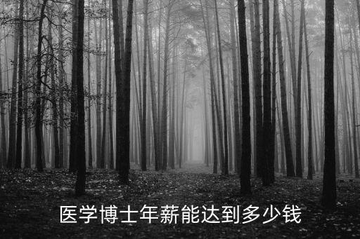 南京醫(yī)學博士工資是多少,讀醫(yī)學博士有工資嗎