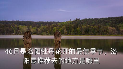 46月是洛陽牡丹花開的最佳季節，洛陽最推薦去的地方是哪里