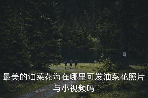 最美的油菜花海在哪里可發油菜花照片與小視頻嗎